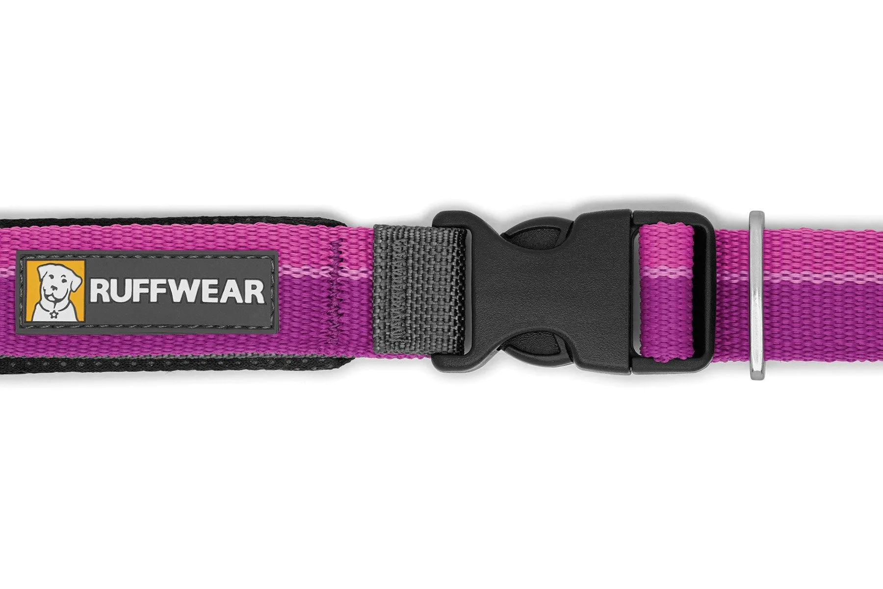 Roamer™ Bungee Dog Leash