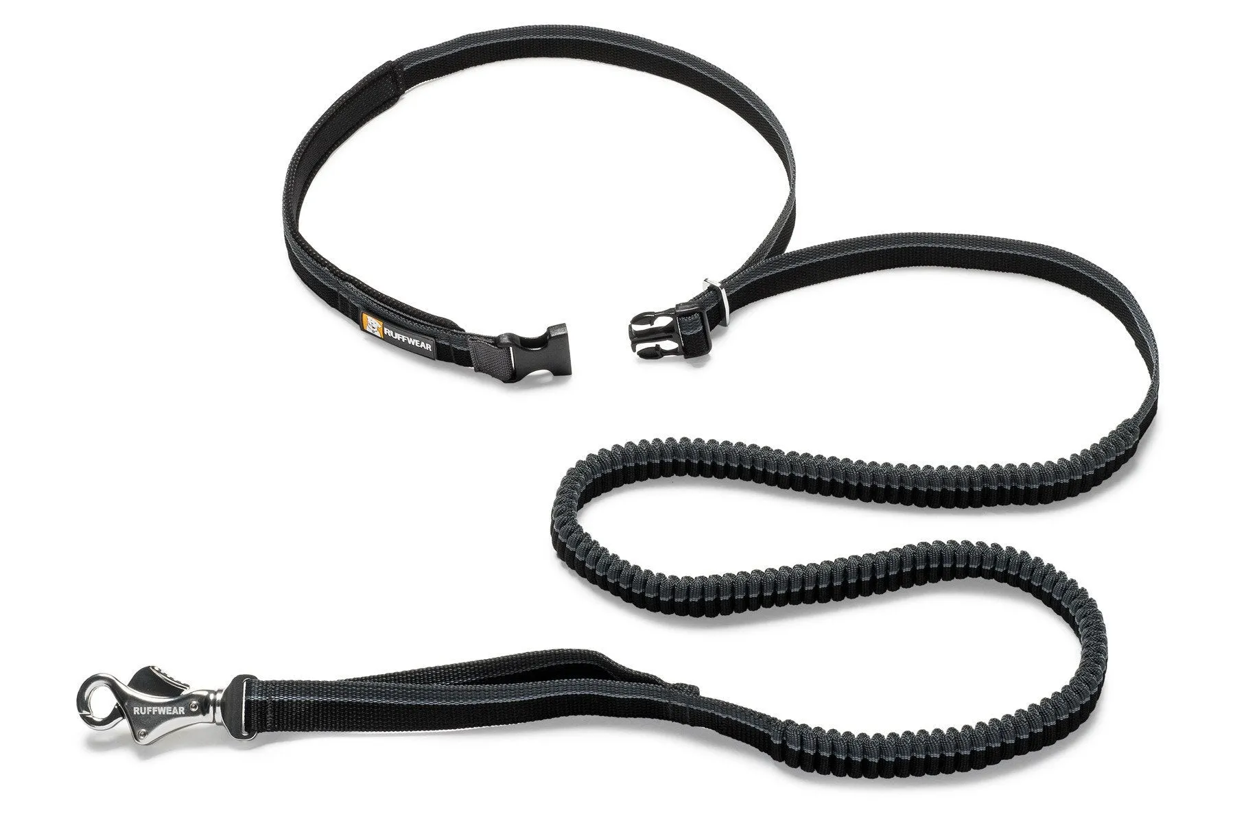 Roamer™ Bungee Dog Leash