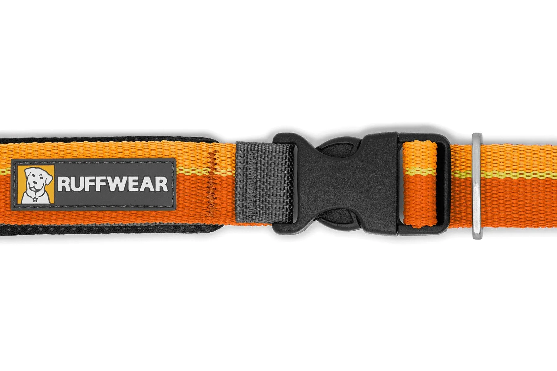 Roamer™ Bungee Dog Leash