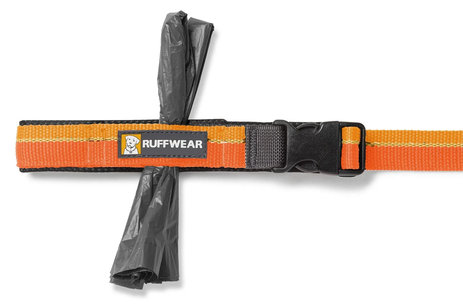 Roamer™ Bungee Dog Leash