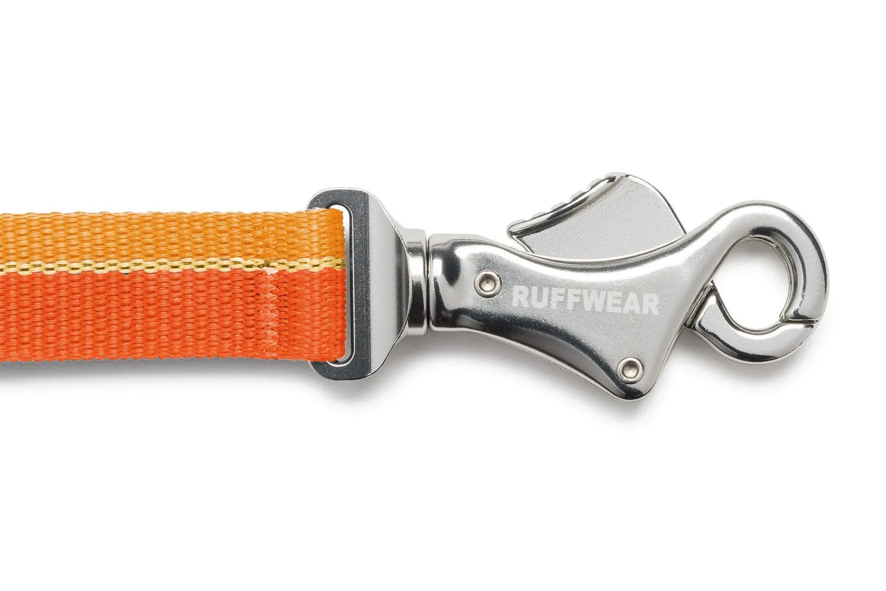 Roamer™ Bungee Dog Leash