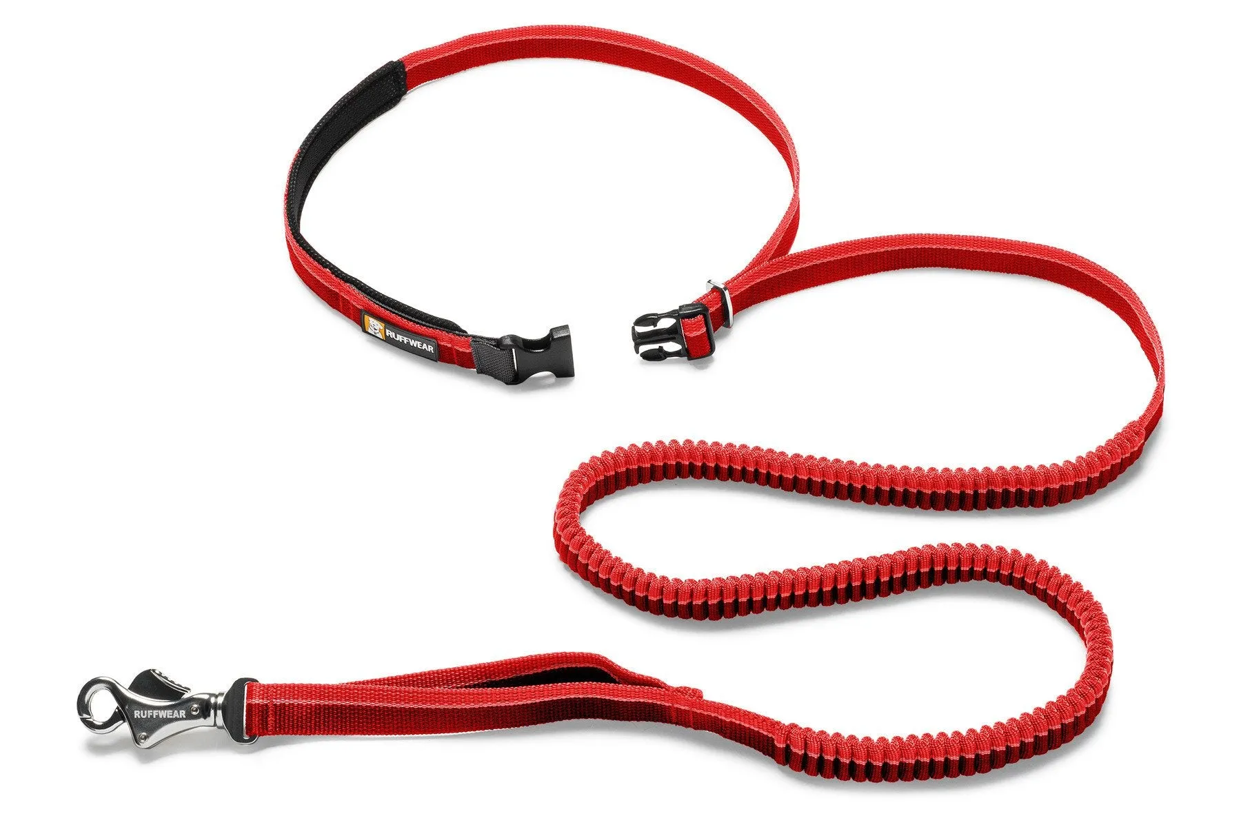 Roamer™ Bungee Dog Leash