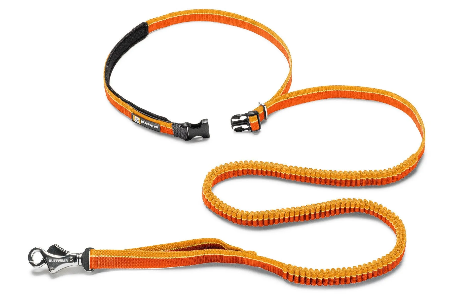 Roamer™ Bungee Dog Leash