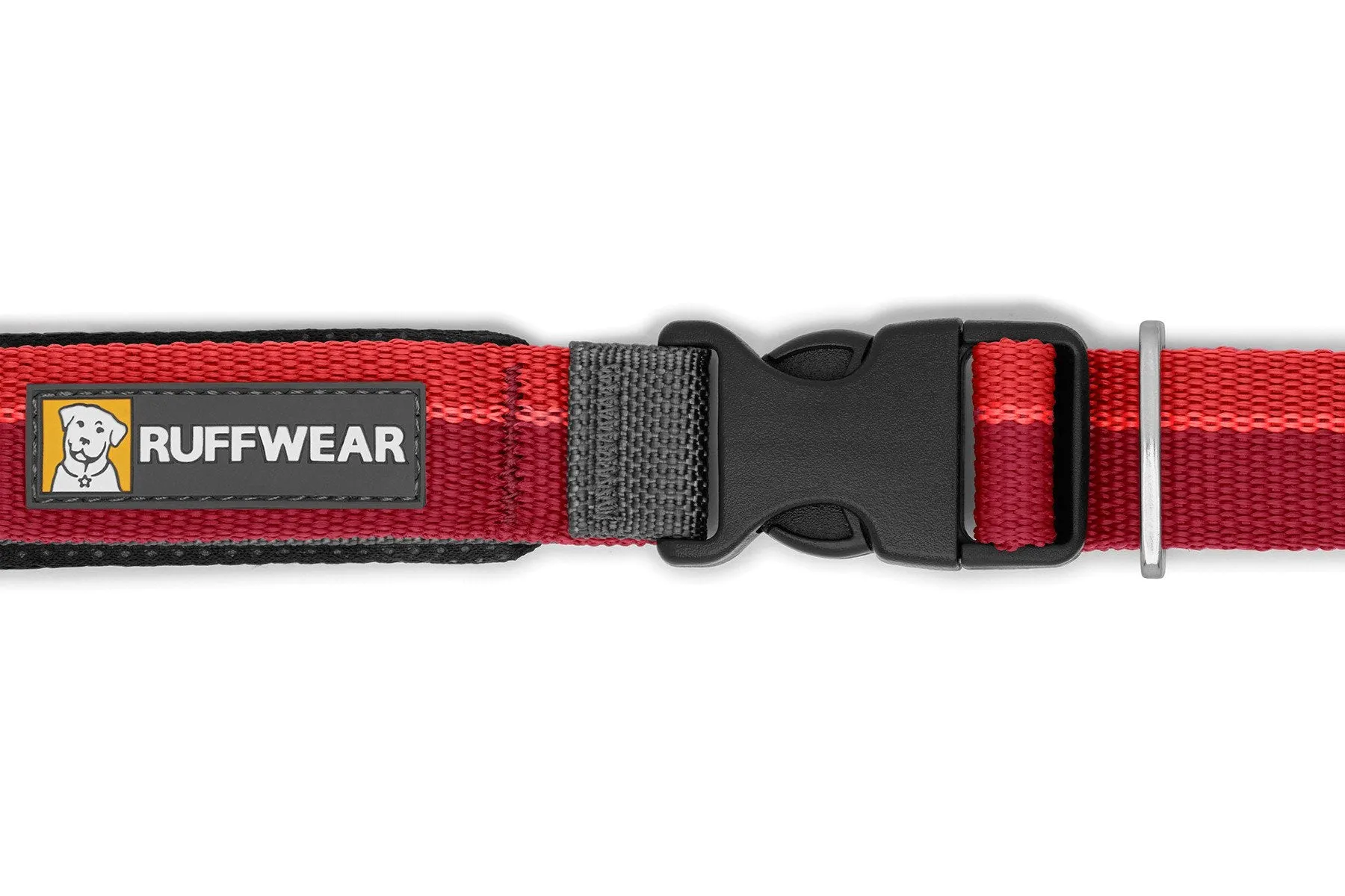 Roamer™ Bungee Dog Leash