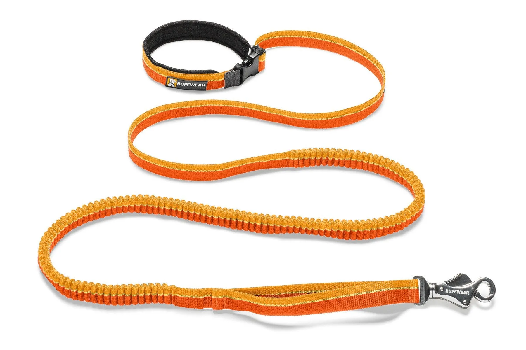 Roamer™ Bungee Dog Leash